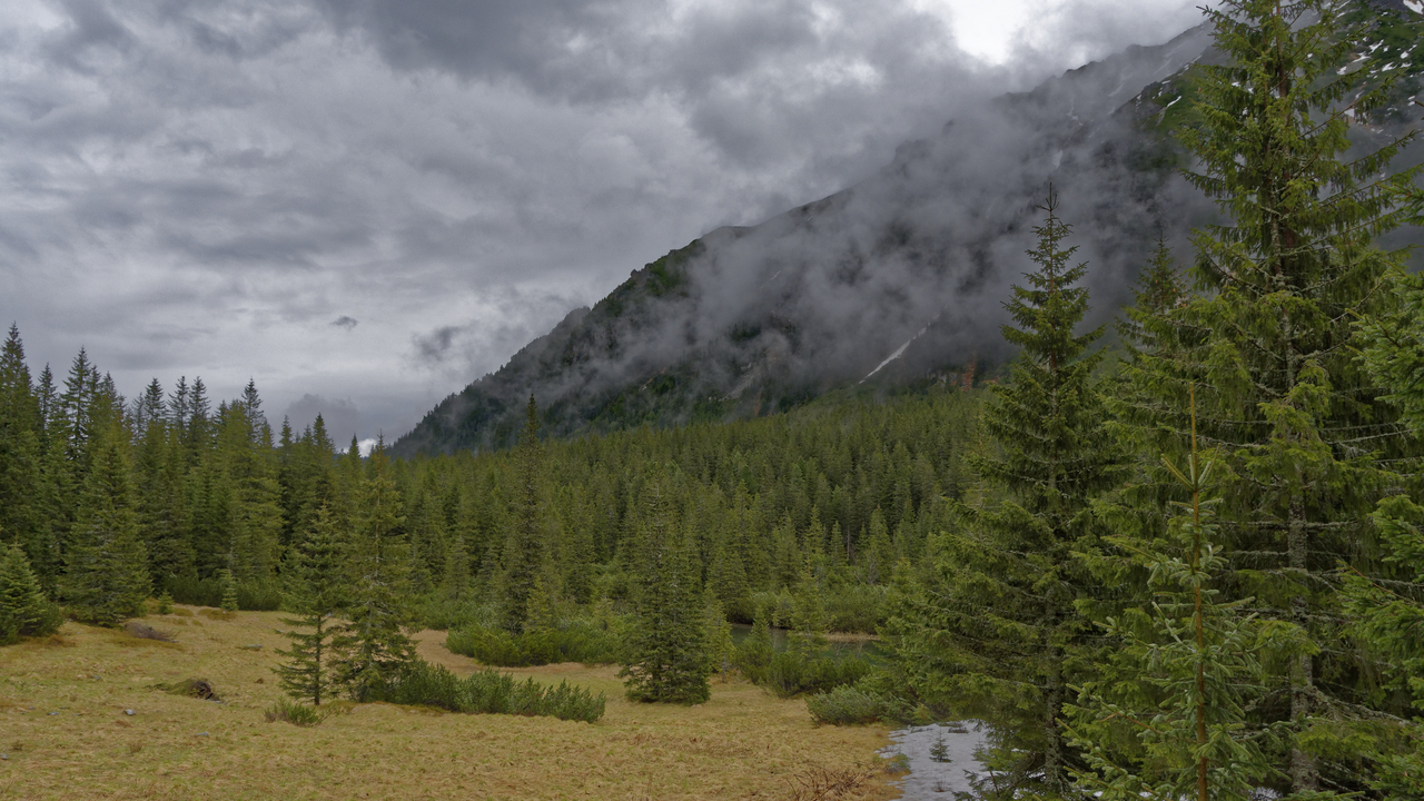 20160513-125159••Zakopane•Lesser Poland Voivodeship•Poland